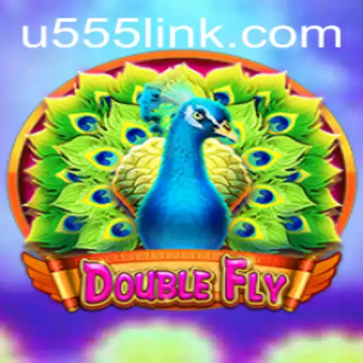 Exploring the Exciting World of DoubleFly with u555.COM